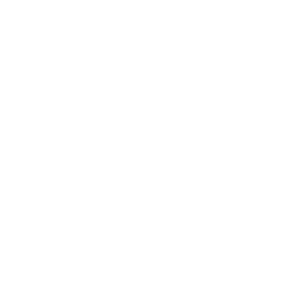 FARIZON NEW COMMERCIAL VEHICLES ICON
